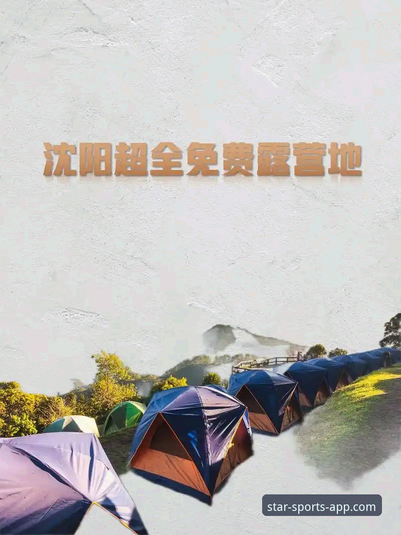 星空体育APP使用技巧全面解析：老用户分享的五大实用攻略