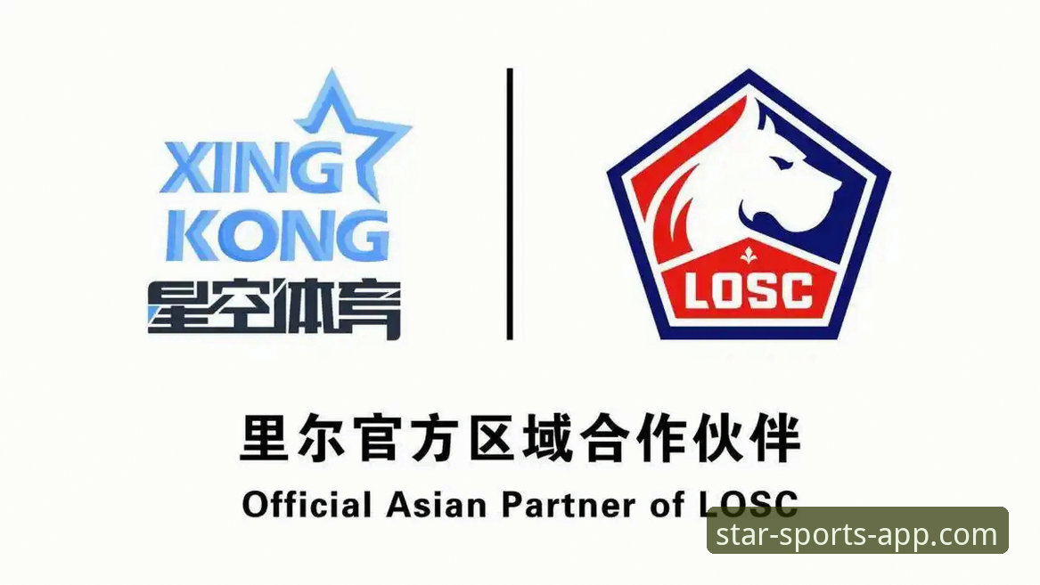 星空体育APP靠谱吗安装教程详解